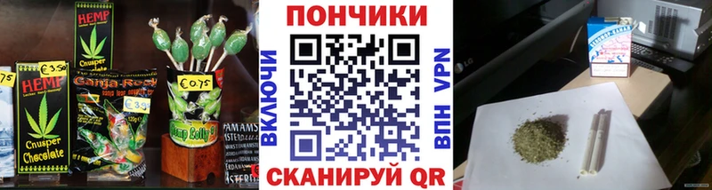 Cannafood конопля  где можно купить   Новодвинск 