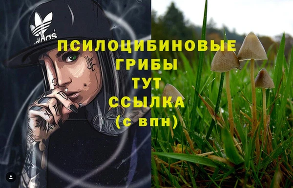 прущая мука Бугульма